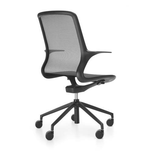 Ovidio — изображение 3