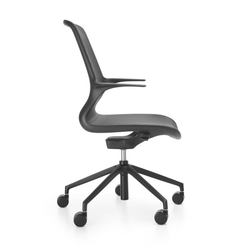 Ovidio — изображение 2