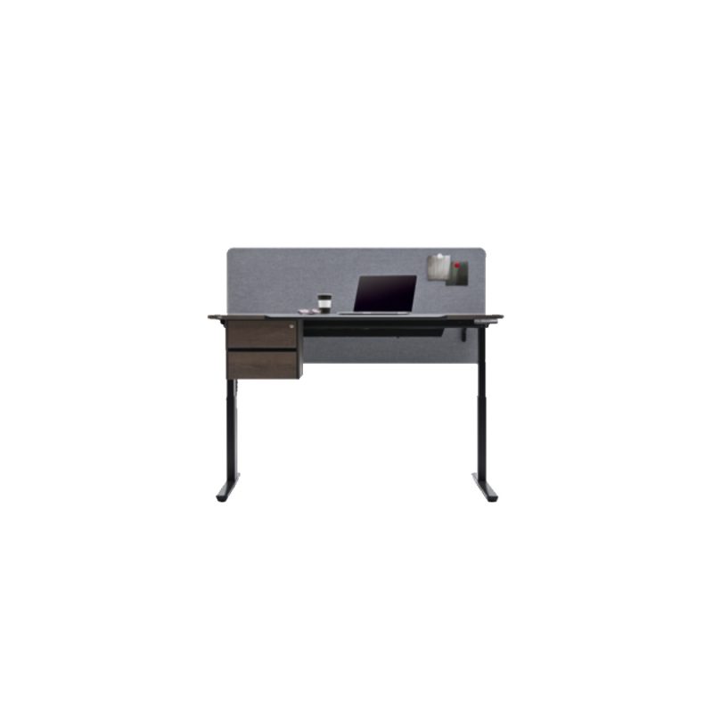 Motion Desk EX
