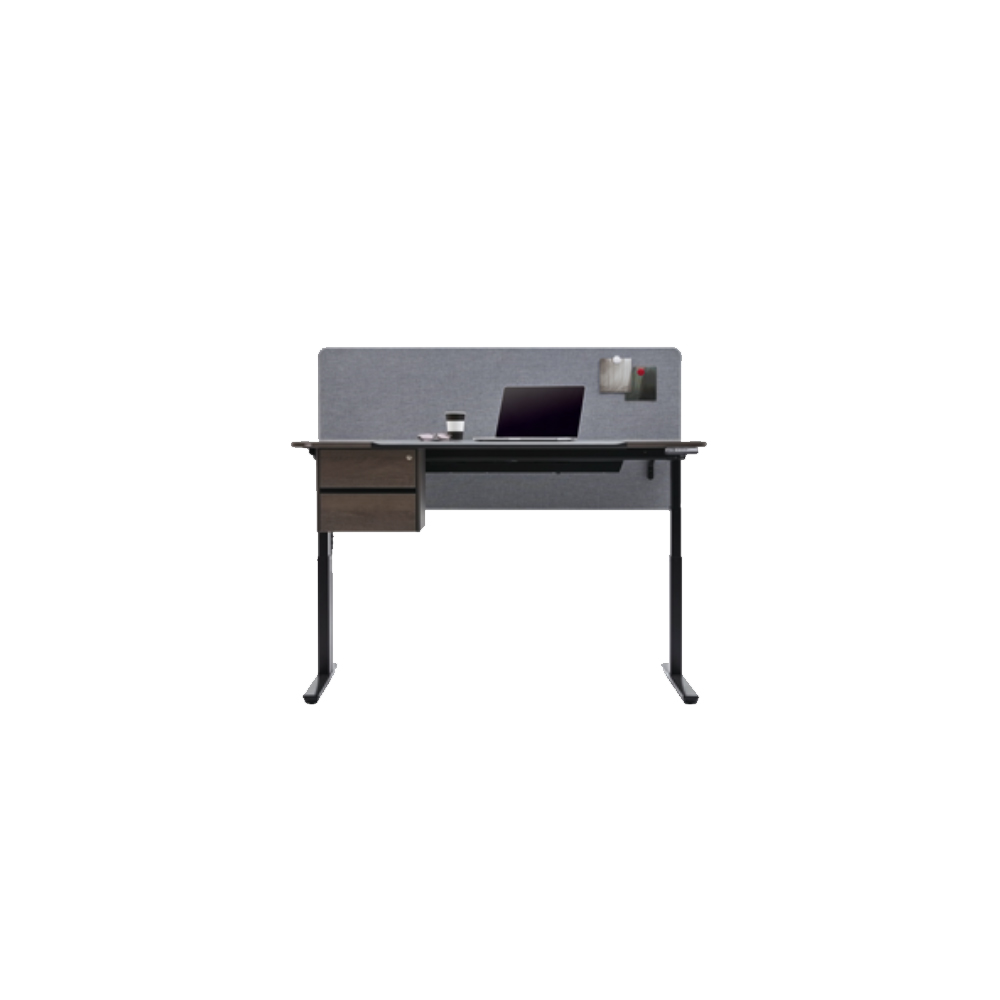 Motion Desk EX