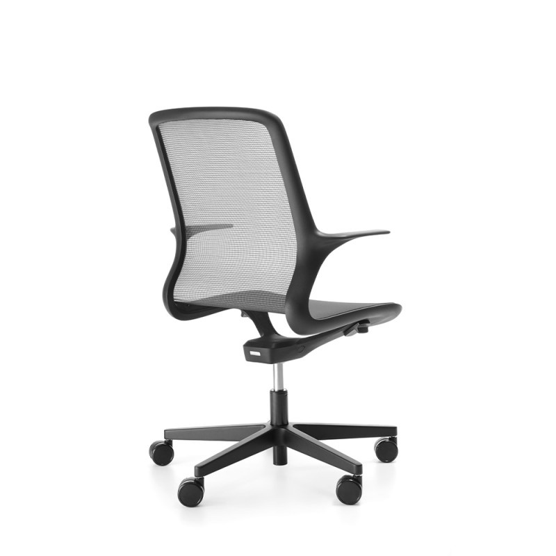 Ovidio — изображение 5