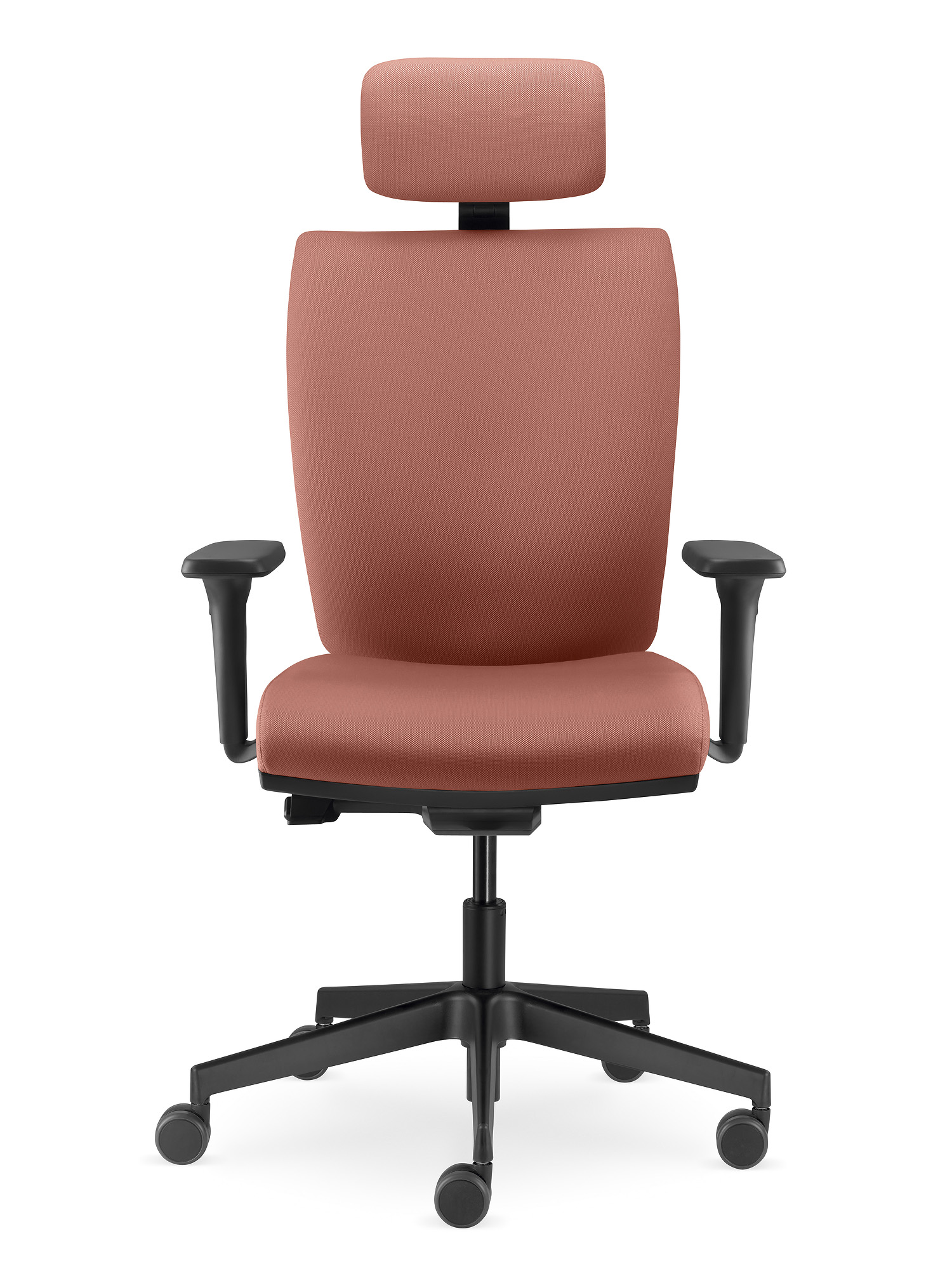 Lyra — изображение 4