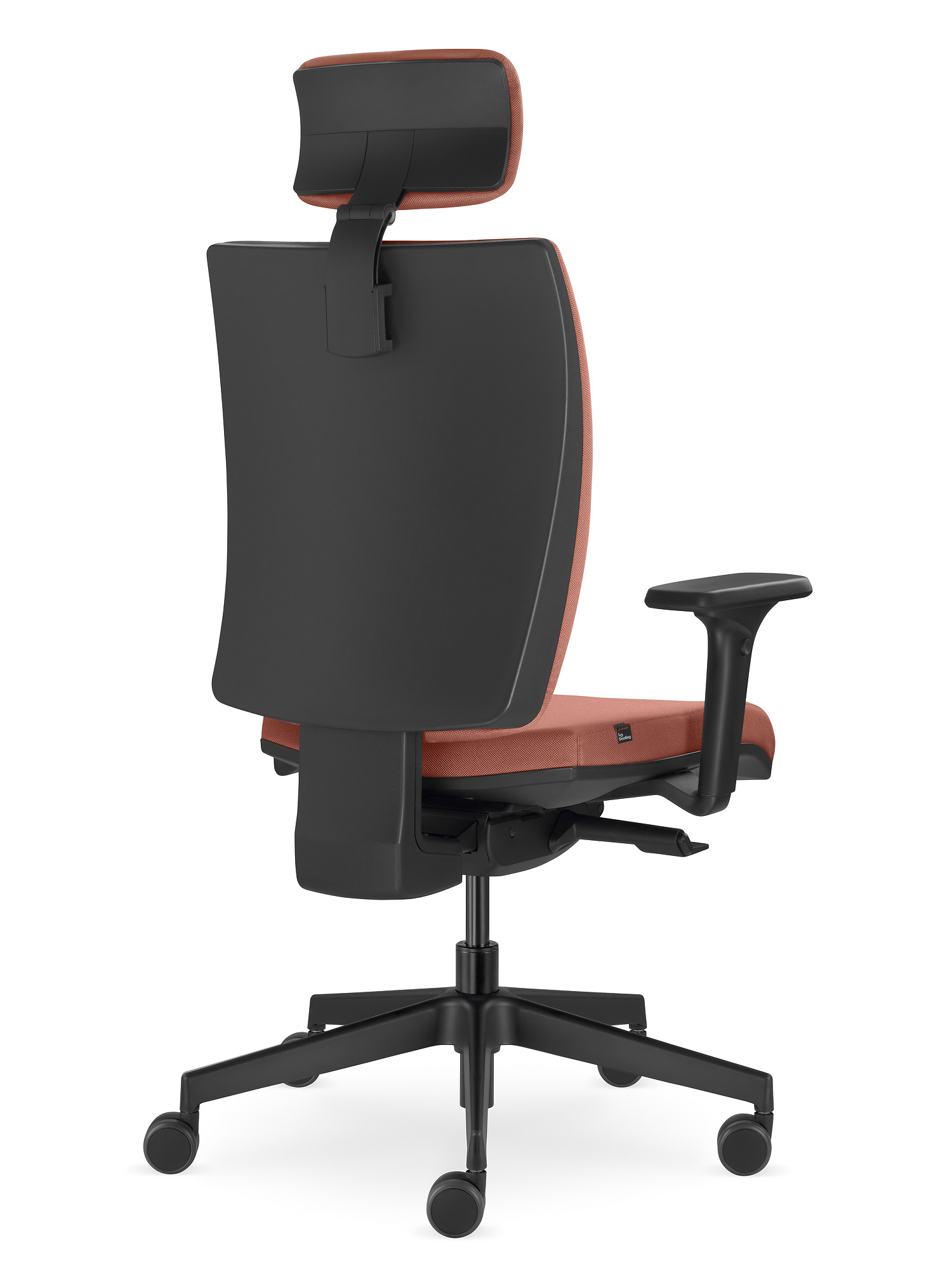 Lyra — изображение 2