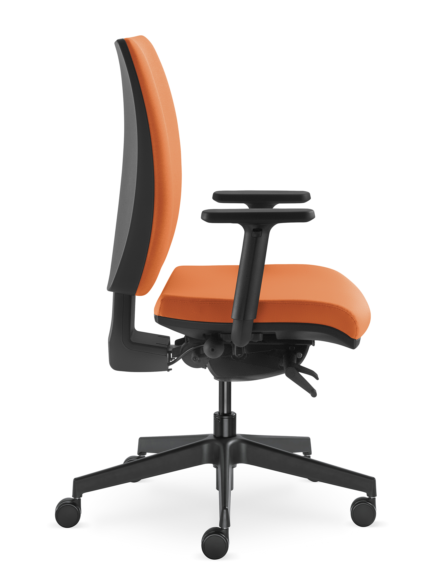 Lyra — изображение 12