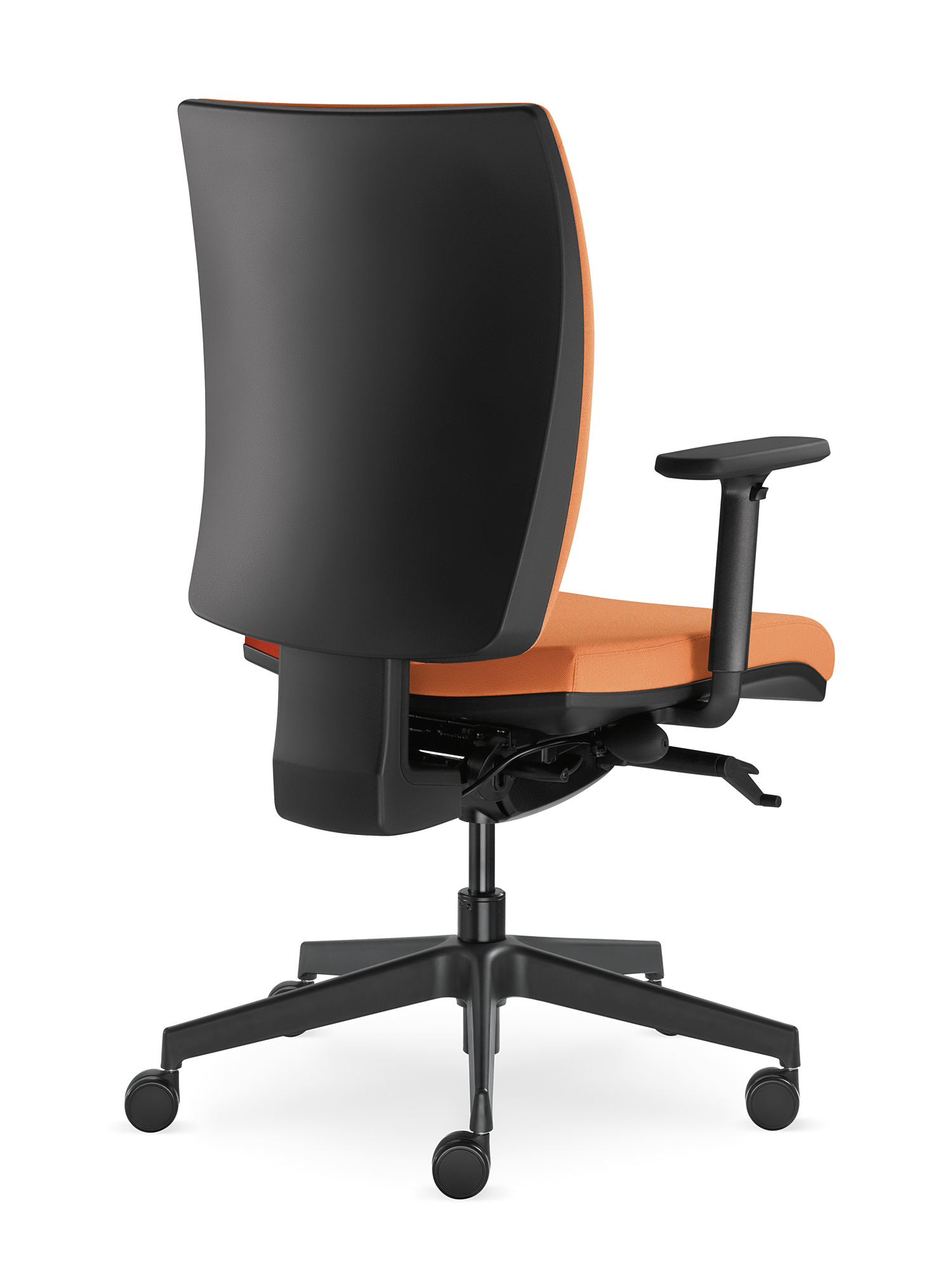 Lyra — изображение 11