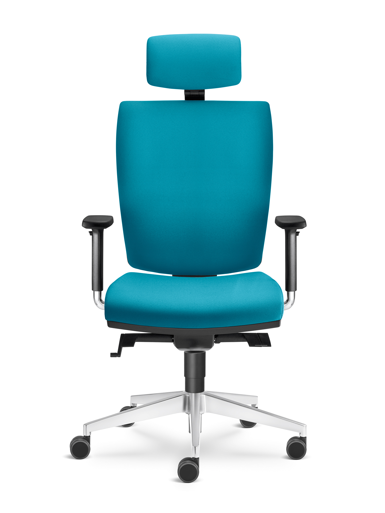 Lyra — изображение 8