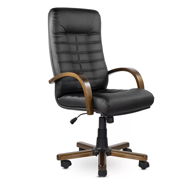 Орион — изображение 9