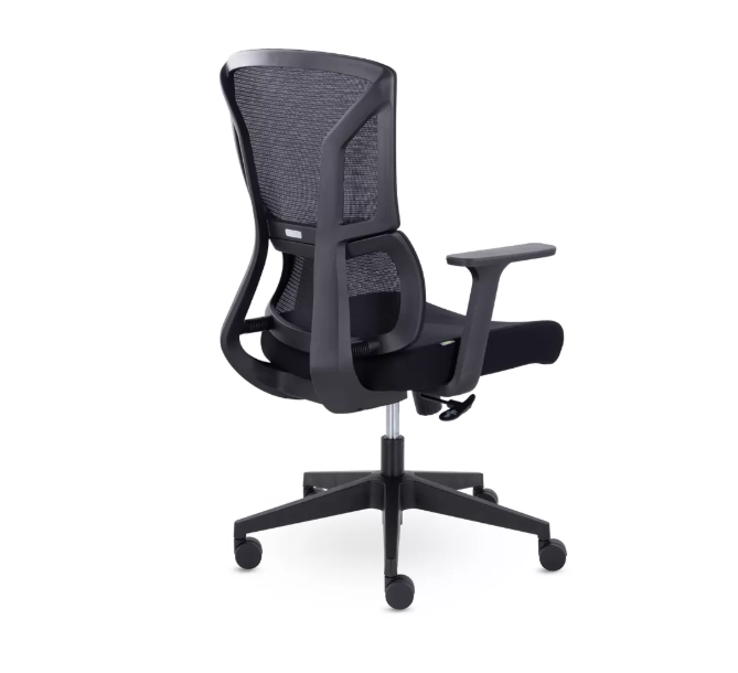 Номи — изображение 4