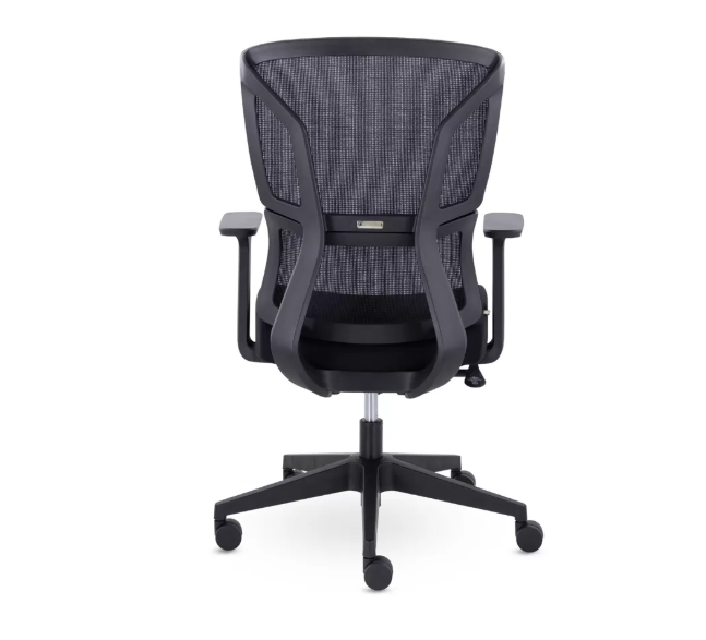 Номи — изображение 5