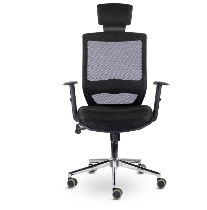 СН-500 Гарвард — изображение 2